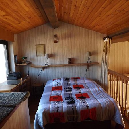T3 Tres Agreable, 2 Terrasses, Bien Place Amélie-les-Bains-Palalda Екстериор снимка